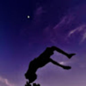 Meet your Posher, Tyson